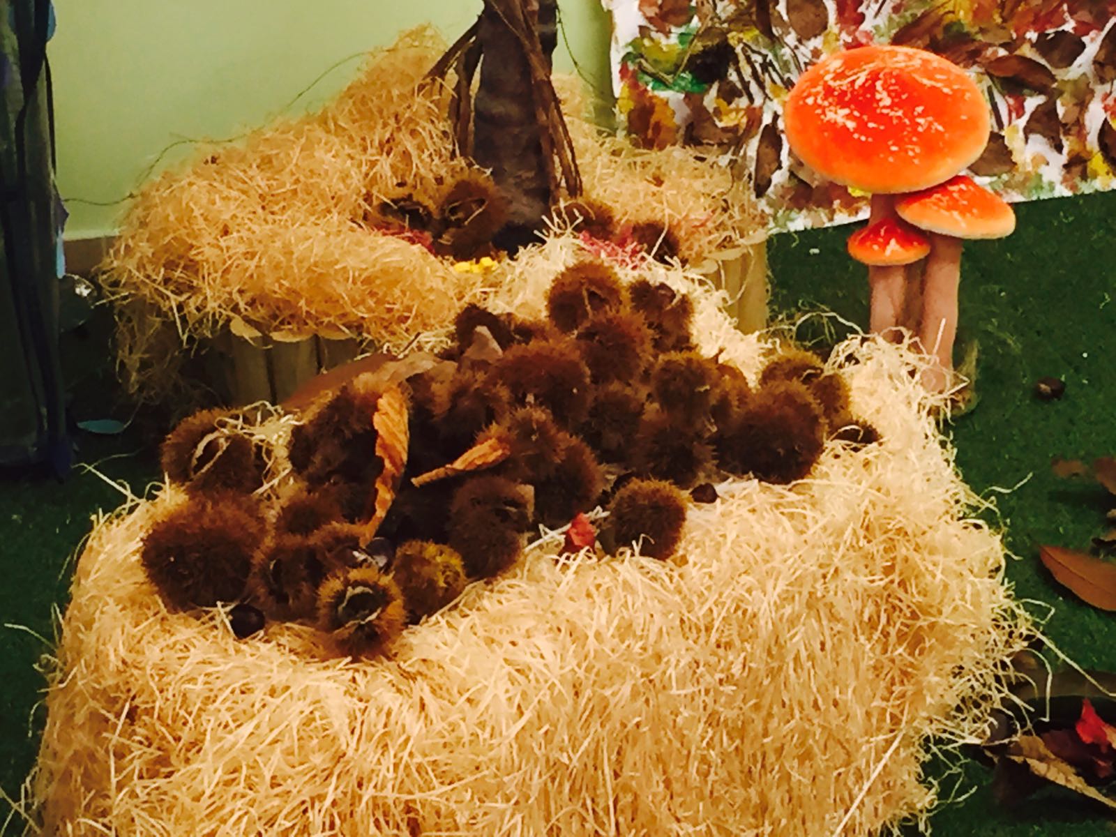 Laboratorio autunnale